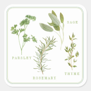 4 HERBS FRESCOS Grandes Pegatinas Cuadrados