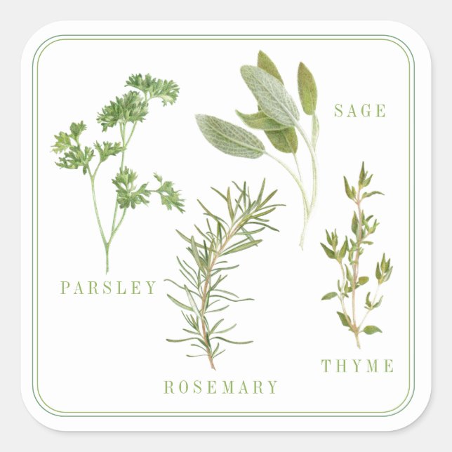 4 HERBS FRESCOS Grandes Pegatinas Cuadrados (Anverso)
