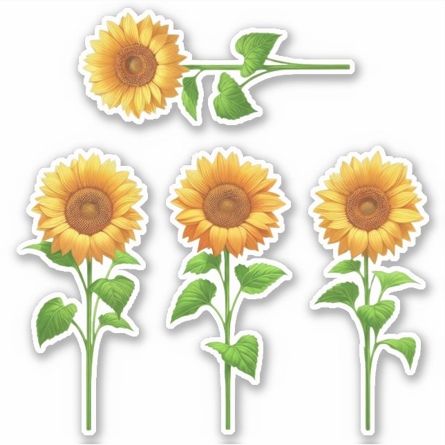 4 Pegatinas de Girasol (brillante) (Anverso)
