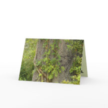 "¿4 veces?" Tarjeta de saludo de BREAK-UP