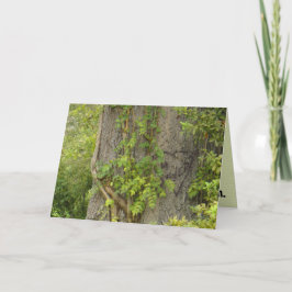 "¿4 veces?" Tarjeta de saludo de BREAK-UP