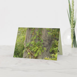 "¿4 veces?" Tarjeta de saludo de BREAK-UP