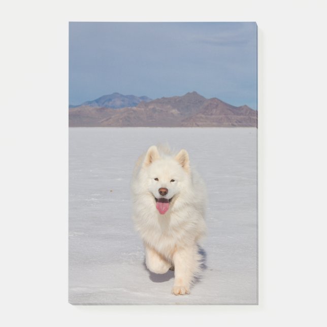 4"x6" Notas posteriores a la venta - Salt Flats (Anverso)