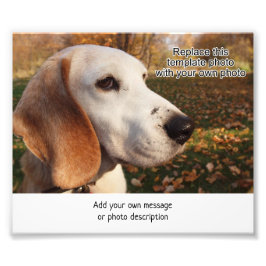 4 x 6 área de impresión fotográfica w para añadir 