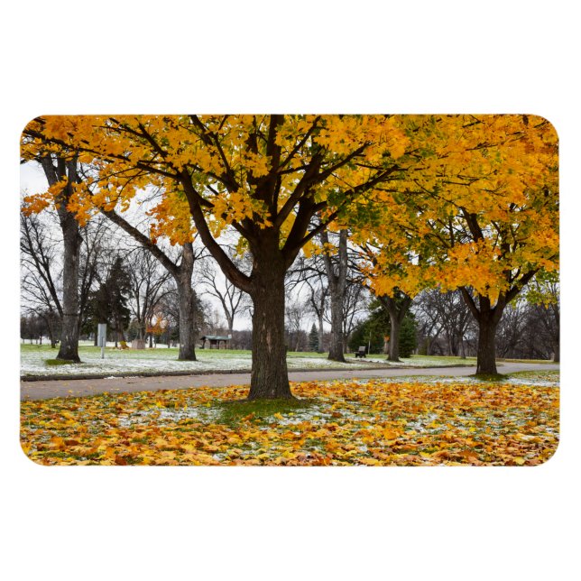 4 x 6 imán plano (Horizontal)