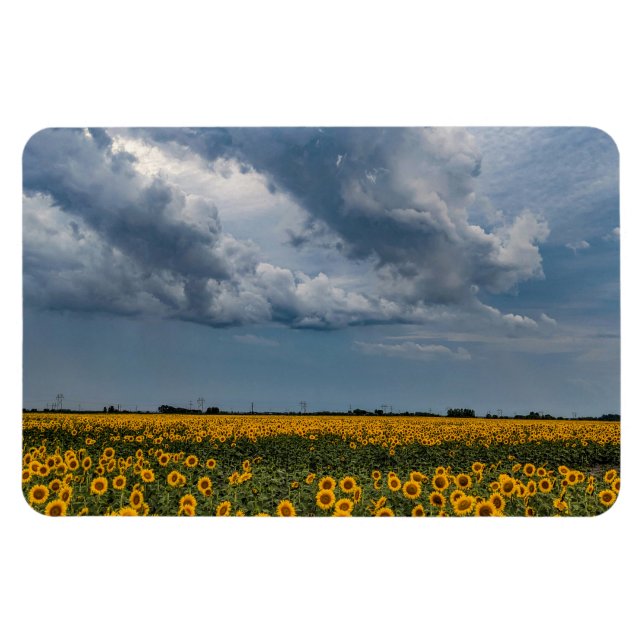 4 x 6 imán plano (Horizontal)