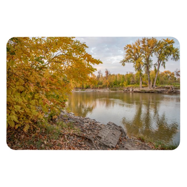 4 x 6 imán plano (Horizontal)