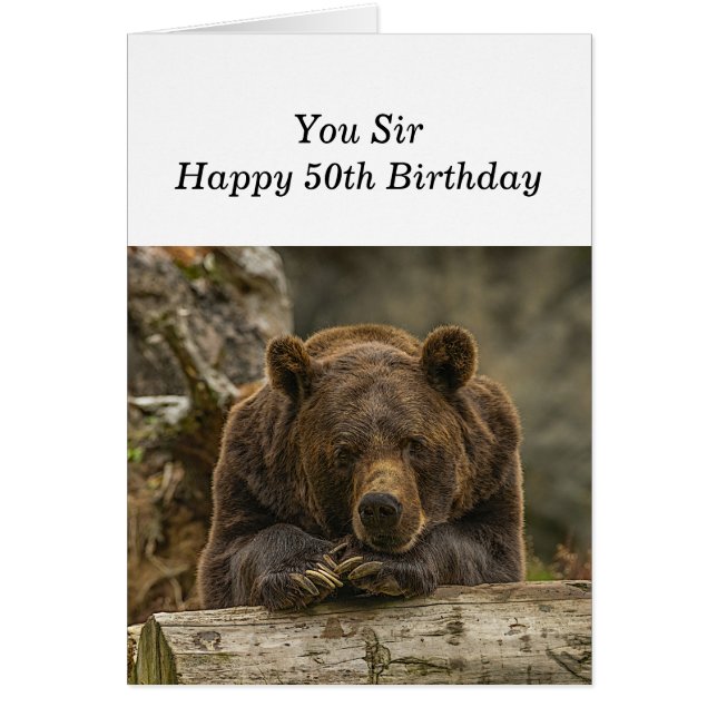 50.º oso pardo sórdido sobre la colina (Frente)