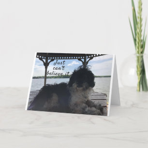 **50** CÓMO SE SIENTE LA TARJETA DE HUMOR DE CUMPL