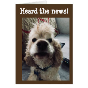 **50 CUMPLEAÑOS** HUMOR DE PUP