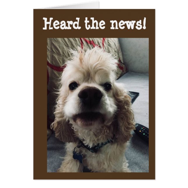 **50 CUMPLEAÑOS** HUMOR DE PUP (Frente)