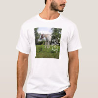 50 sombras de camiseta del heno