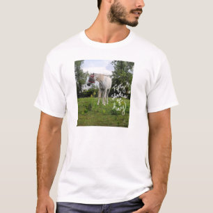 50 sombras de camiseta del heno