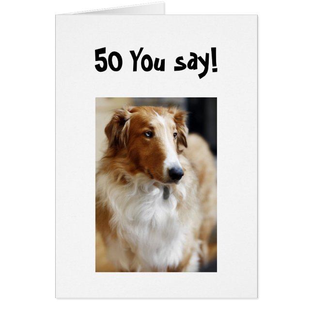 ¡5.º DECIR! (Frente)