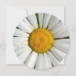 5.25 x 5.25 Círculo de invitación