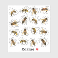 5 abejas reales sobre 16 Pegatinas vinílicos