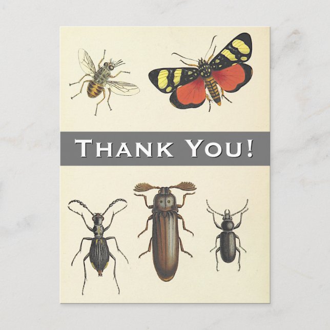 5 Insectos De Estilo Vintage "¡Gracias!" Postal (Anverso)