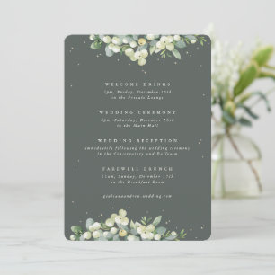 5 x7 Boda de nieve verde + eucalipto Itinerario