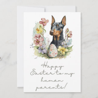 5 x 7 Dobermann Pinscher Tarjeta de felicitación d