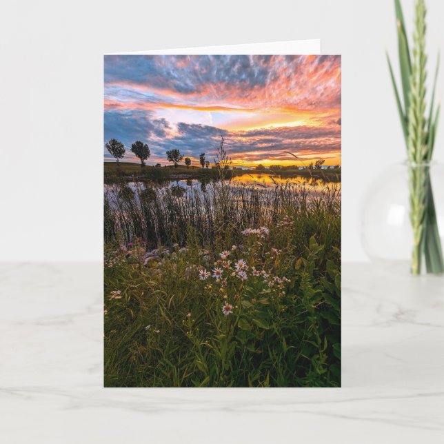 5 x 7 juego de tarjetas de notas en blanco (Anverso)