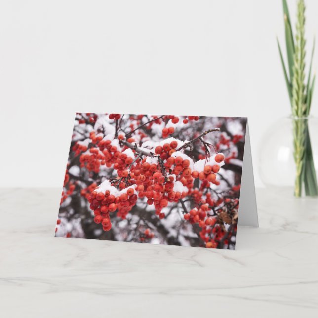 5 x 7 juego de tarjetas de notas en blanco (Anverso)