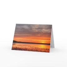 5 x 7 juego de tarjetas de notas en blanco