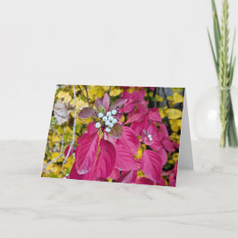 5 x 7 juego de tarjetas de notas en blanco