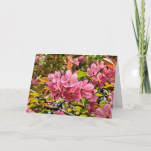 5 x 7 juego de tarjetas de notas en blanco