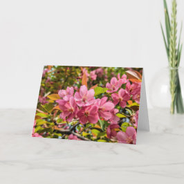 5 x 7 juego de tarjetas de notas en blanco