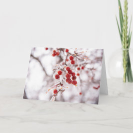 5 x 7 juego de tarjetas de notas en blanco