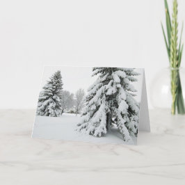 5 x 7 juego de tarjetas de notas en blanco