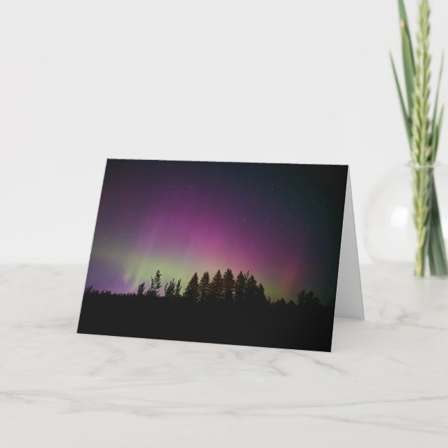 5 x 7 juego de tarjetas de notas en blanco (Anverso)