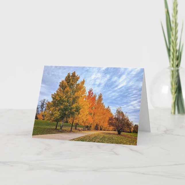 5 x 7 juego de tarjetas de notas en blanco (Anverso)