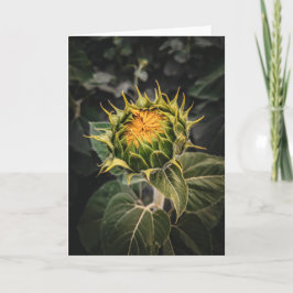 5 x 7 juego de tarjetas de notas en blanco