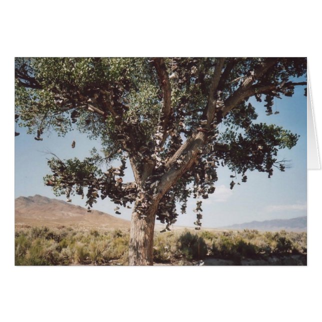 60. Árbol de zapatos, Nevada (Anverso (Horizontal))
