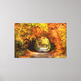 60" x 40" Lienzo amarillo Bog Kilcullen