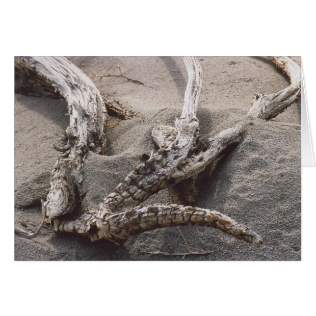 61. Bandeja Antler de Madera (Anverso (Horizontal))