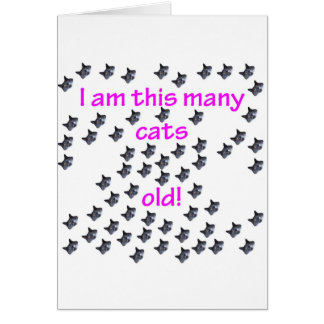 61 cabezas del gato viejas