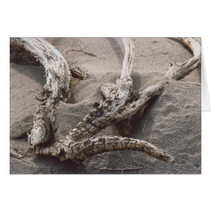 61. Estante de madera de la asta