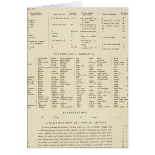 6364 Legend Suecia, Noruega