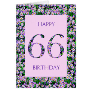 66.ª morada