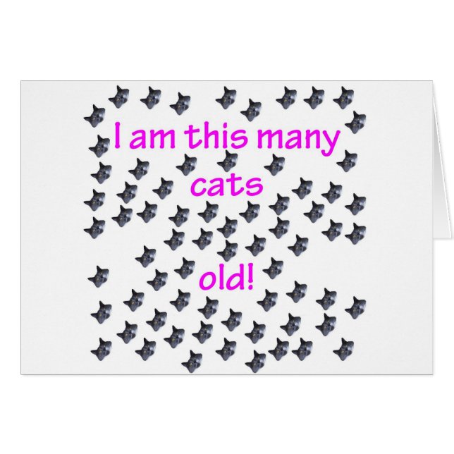 69 cabezas del gato viejas (Anverso (Horizontal))