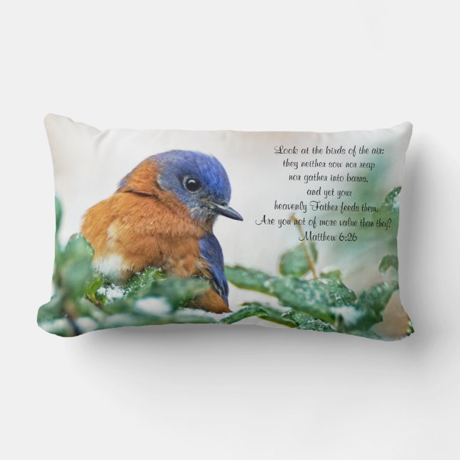 6:26 lumbar de Matthew de la almohada del Bluebird (Anverso)