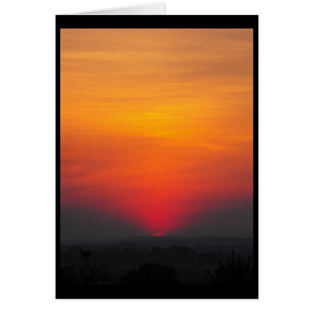 ~ 6 del verano (Frente)