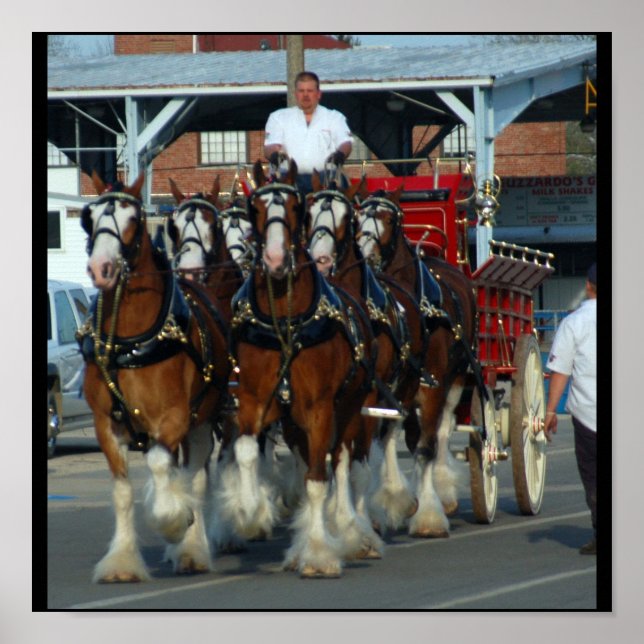 6 impresión de hockey sobre hielo (Frente)
