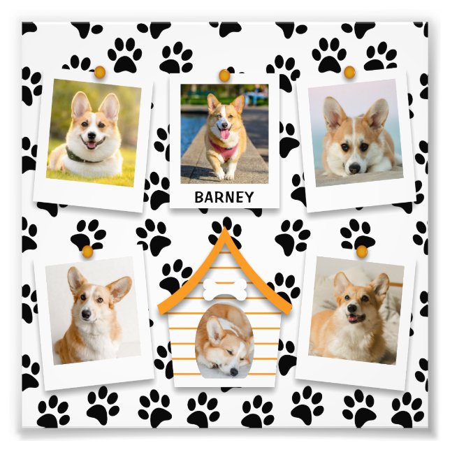 6 Nombre de la casa del perro Collage de fotos Fot (Frente)