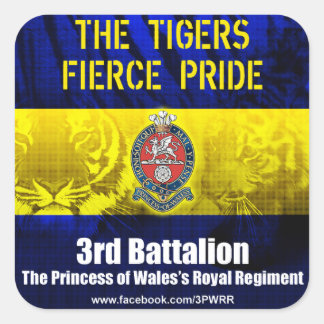 6 Pegatinas cuadrados de 3PWRR