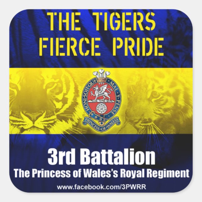 6 Pegatinas cuadrados de 3PWRR (Anverso)