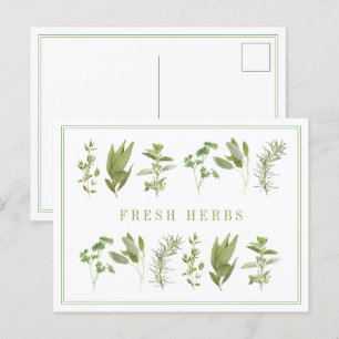 6 postal HERBS FRESCA