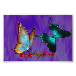 6" x 4", papel profesional de la foto de Kodak